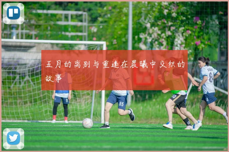 五月的离别与重逢在晨曦中交织的故事
